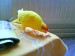 DSC01196.JPG